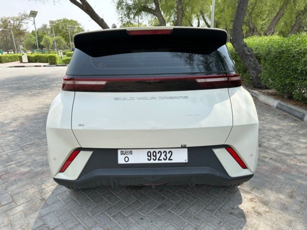 byd-seagull-byd-seagull-flying-405-warranty-and-service-open-km-big-2