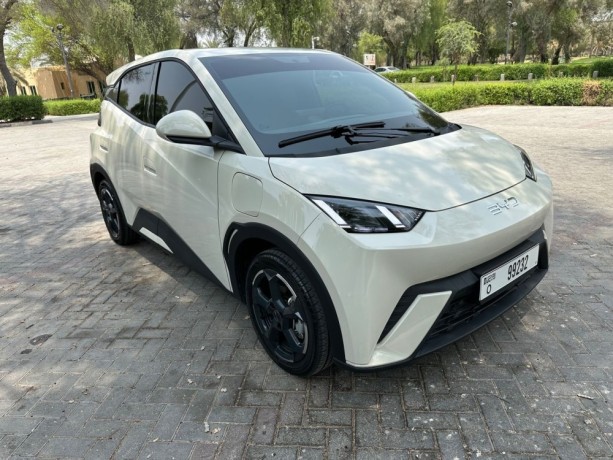 byd-seagull-byd-seagull-flying-405-warranty-and-service-open-km-big-1