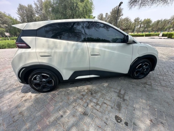 byd-seagull-byd-seagull-flying-405-warranty-and-service-open-km-big-0