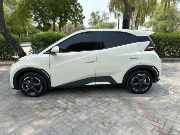 byd-seagull-byd-seagull-flying-405-warranty-and-service-open-km-big-5