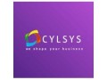 best-software-mobile-app-web-development-it-staffing-and-digital-marketing-company-small-0