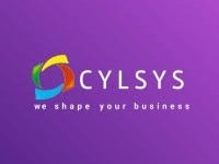 best-software-mobile-app-web-development-it-staffing-and-digital-marketing-company