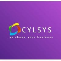 best-software-mobile-app-web-development-it-staffing-and-digital-marketing-company-big-0