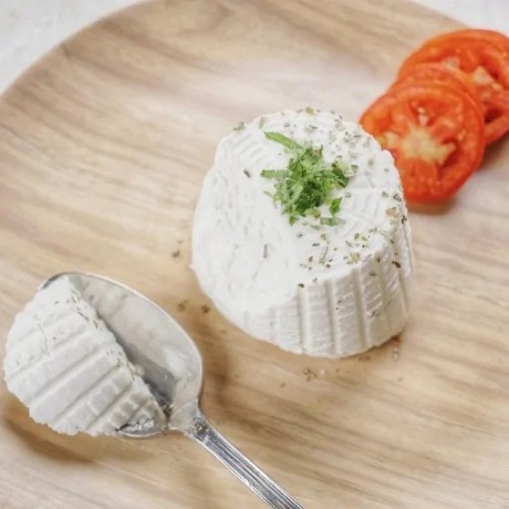 fresh-milk-italian-cheese-big-0