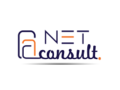 netconsult-fzco-small-0